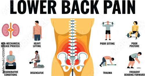 Lower Back Pain Causes Medical Infographic Showing Lumbar Spine Anatomy, Poor Posture, Heavy Lifting, Trauma, Degenerative Conditions, and Prevention Concepts