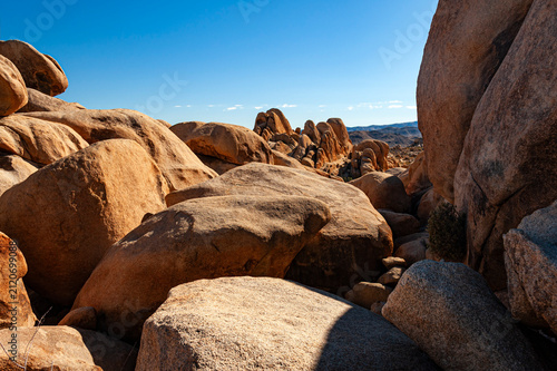 Joshua Tree National Park in California.. Joshua Tree National Park with its  unique landscapes and ecosystems offers rock formations, scenic viewpoints,  hikes and desert gardens