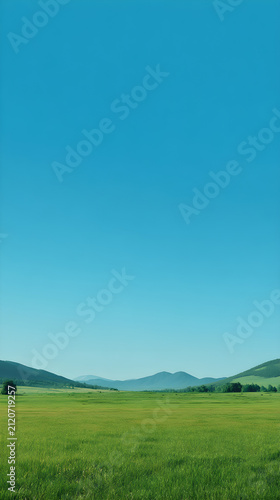 green field and blue sky