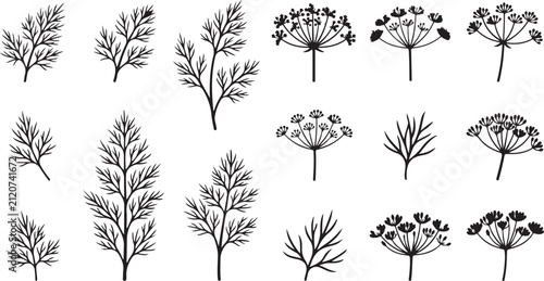 Bild auf Leinwand Black and white botanical plant illustrations