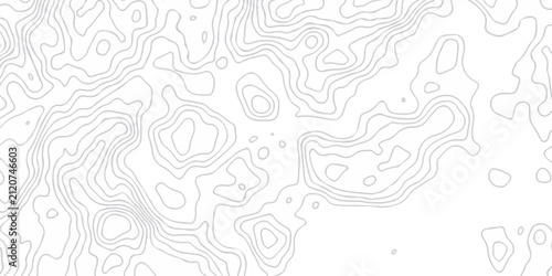 Cuadro en lienzo Topography white background and black line wireframe isoline location diagram world map texture design