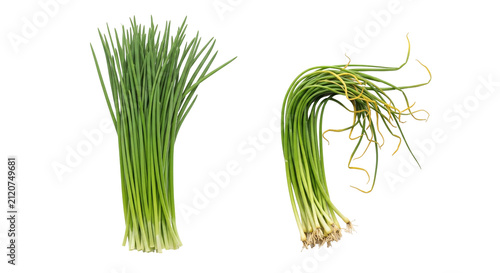 Fresh Green Onions Main Subject With Crisp Stems.