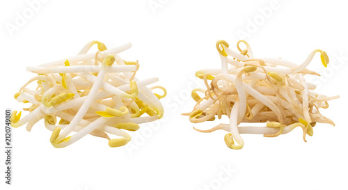 Fresh mung bean sprouts on white background.