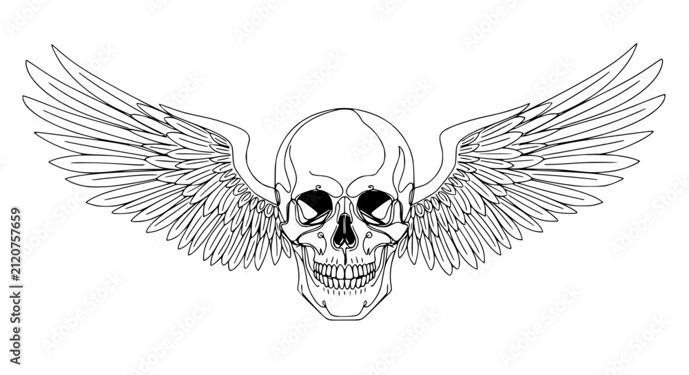 Fototapeta premium Winged Skull Outline Vector Art