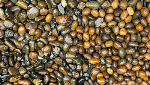 A top view of wet, decorative river pebbles laid over a drainage grate. A textured backdrop for landscape design, drainage, and landscaping.