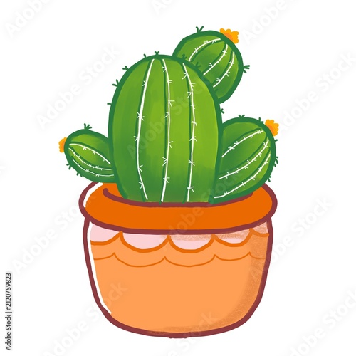 Cute Round Barrel Cactus in Orange Terracotta Pot
