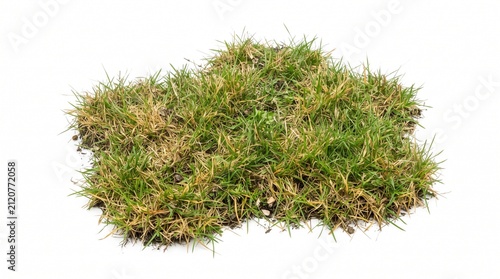 Clump of green grass with roots and soil isolated on white background