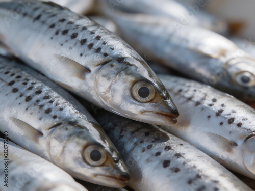 Fresh fish with black spots