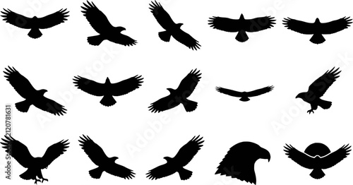 Принти на полотні Flying Eagle Silhouette Set in Various Poses