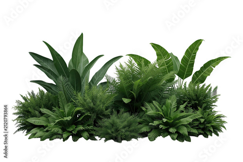Low dense tropical foliage garden border