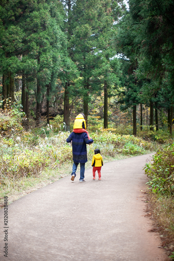 Fototapeta premium Rear view of a father carrying one child on his shoulders and walking down a quiet forest path with his children in late autumn.