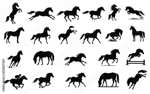 24 Horse Silhouette Collection Running Galloping Rearing Jumping Grazing Equestrian Black Vector Set