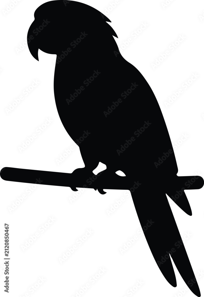 Fototapeta premium Parrot icon Silhouette Vector black design on a white background