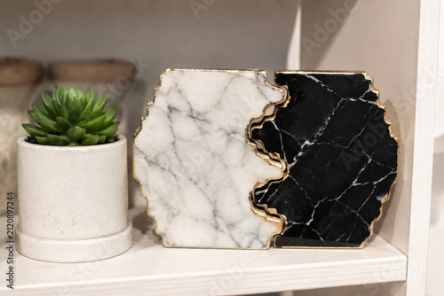 Two interlocking polished stone coasters with potted succulent, tableware and home decor concept
