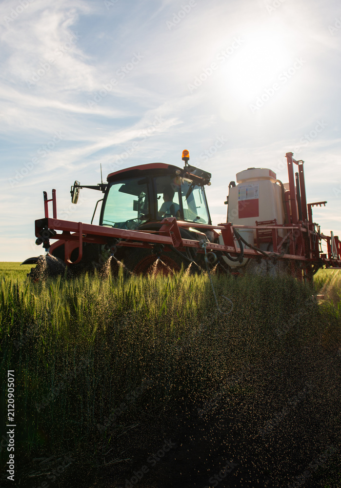Obraz premium Farmer in tractor spraying crops at sunset