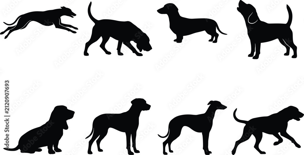 Obraz premium Set of Dog Breeds Silhouettes In Various Poses Running Standing and Howling Vector Illustration