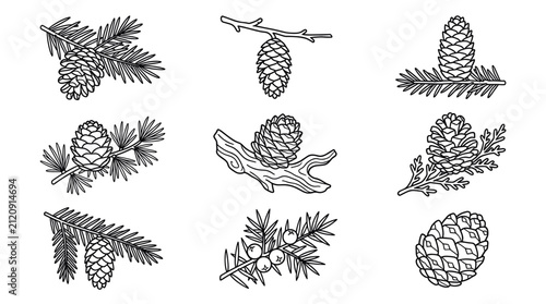 Canvastavla Pine cone and evergreen branch line art icons.