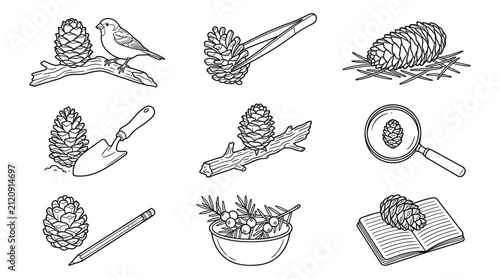 Foto Pine cone and nature study line art icon set.