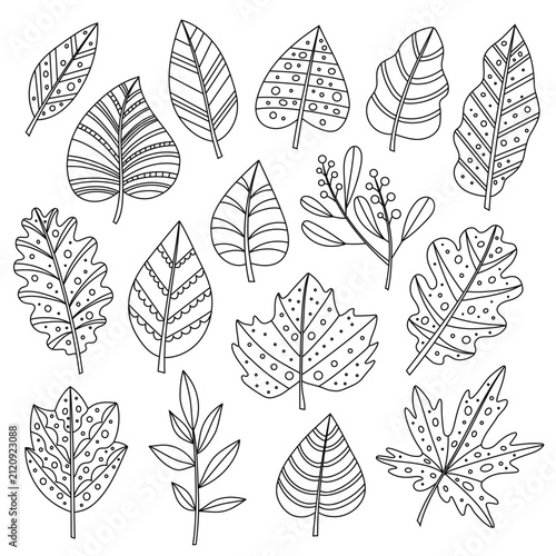 Doodle Autumn Leaves Set Vector Line Art Coloring Page