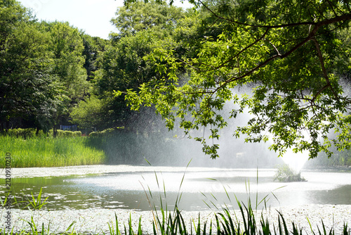Photography Fountain and trees in Seoul Forest Waterfront Park