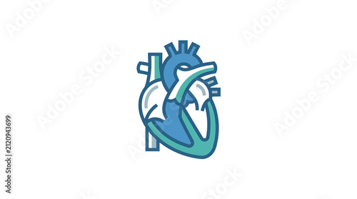 Colorful stylized heart icon with arteries and veins.