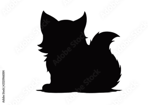 black cat on a white background