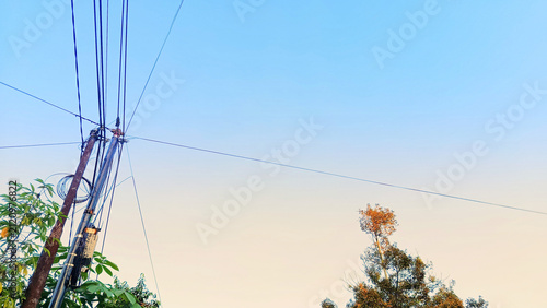Foto Electric Poles with Wires Against a Clear Blue Sky and Towering Treetops