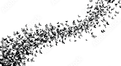 Dynamic trail of many black and white butterflies flying together in a flowing wave pattern across a clean white background.