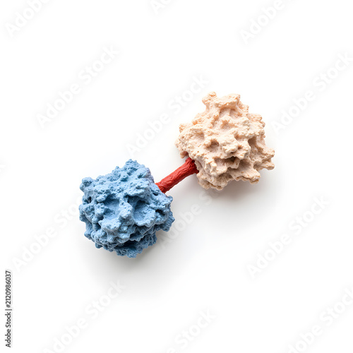 Drug molecule binding to protein target for pharmaceutical research