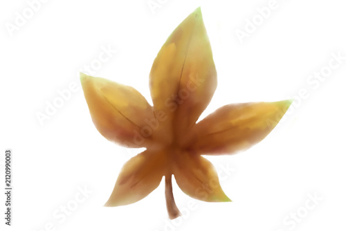 Watercolor painting of maple leaves, for repairing damaged images on fabric, wallpaper, and backgrounds.