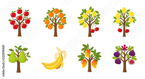 Assorted Fruit Trees and Bananas Collection: Apples, Oranges, Lemons, Cherries, Pears, Mangoes, Figs