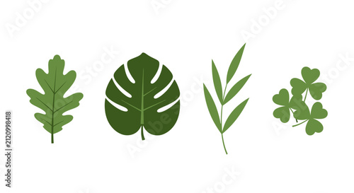 Assorted Green Leaves Collection: Oak, Monstera, Bamboo, and Clover