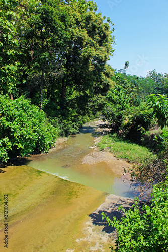 Canvas Print View of river on a sunny day next to the forest.