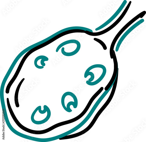 Ovary Icon Vector Outline Hand-Drawn Reproductive Anatomy Organ Symbol