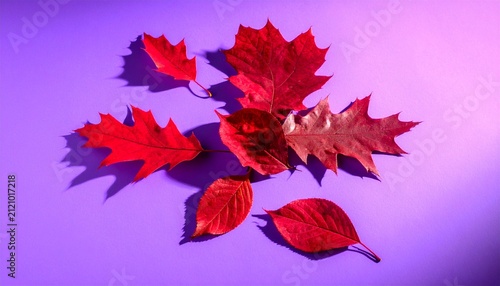 Red Autumn Leaves on Purple Background
