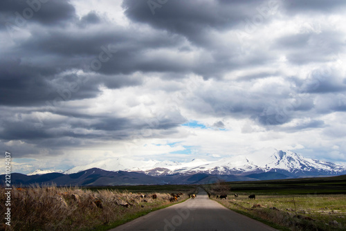 Scenic Grasslands and Snow-Capped Mountains in Javakheti, Georgia