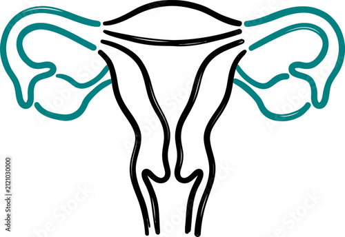 Uterus Medical Icon Vector Outline Hand-Drawn Reproductive Anatomy Organ Symbol