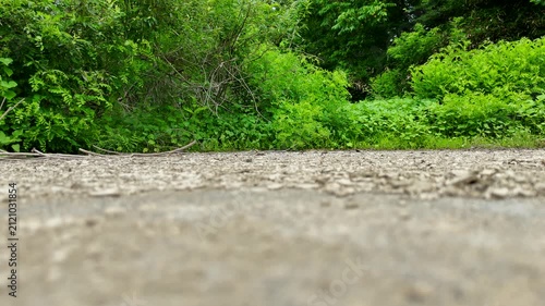 北上川と岩手山の緑をドローン空撮 2025年7月撮影
