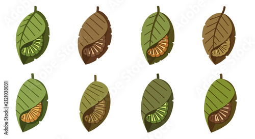 Set of Caterpillar Pupae Inside Folded Leaves Illustration
