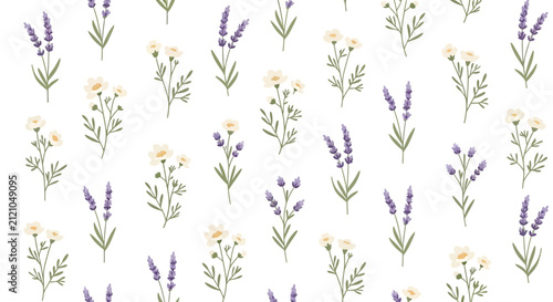 Delicate Floral Pattern: Lavender and Chamomile Flowers, Vector Illustration