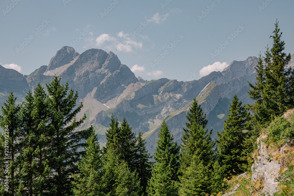 Fototapeta premium mountain landscape in the mountains