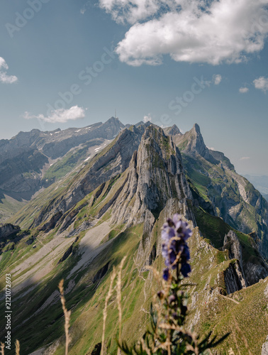 Canvas Print mountain landscape in the mountains