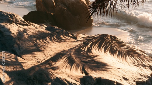 palm tree shadow on sandy beach with ocean wave