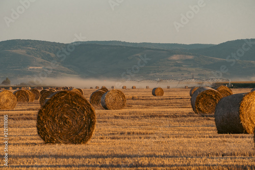 Foto Peaceful Rural Harvest Scene with Round Hay Bales