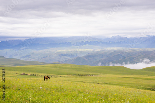 Lonely horse with distant mountains and sea of clouds in Nalati Grassland, Xinjiang, China