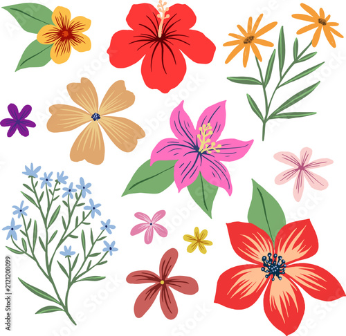 Assortment of diverse colorful flowers and leaves on transparent background vector elements.