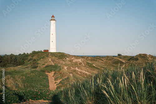 lighthouse rising above coastal sand dunes covered with tall marram grass on the rugged coast of Jutland, Denmark