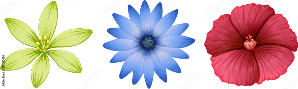 Obraz premium Set of unique flowers with delicate textures and colors, useful for design and decoration.