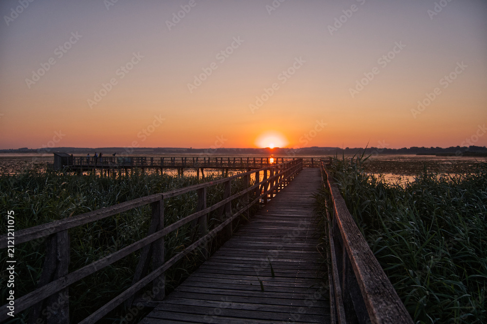 Fototapeta premium Golden Sunrise over Federsee Wetlands in Southern Germany