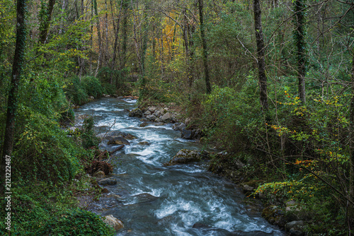 argentino torrent floowing along the trail which goes from the municipality of Orsomarso to the Castel San Noceto pass